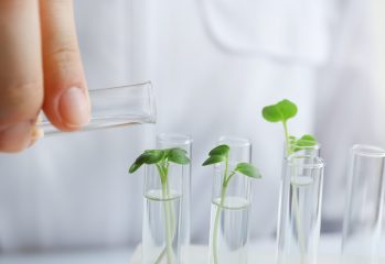 Female,Hand,Pouring,Water,Into,Test,Tube,With,Plant